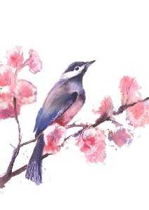 a song bird on a flowering branch